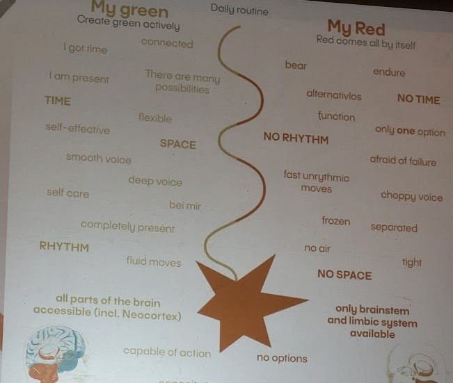My green my red - Illustration NeuroDeeskalation