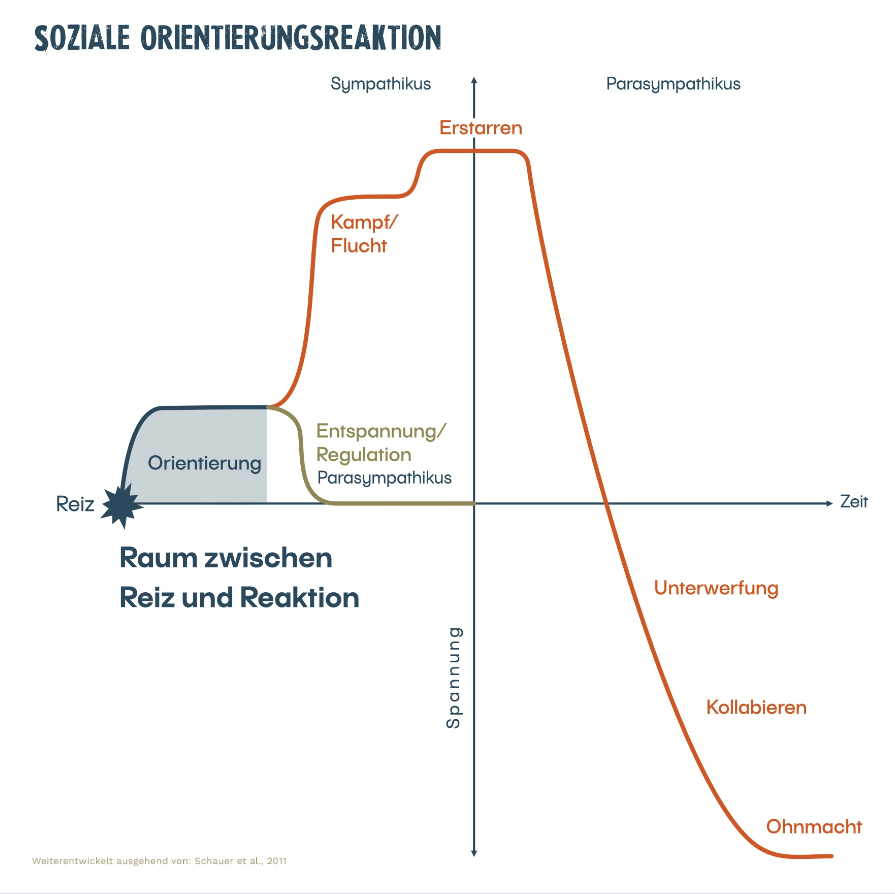 Soziale Orientierungsperson NeuroDeeskalation
