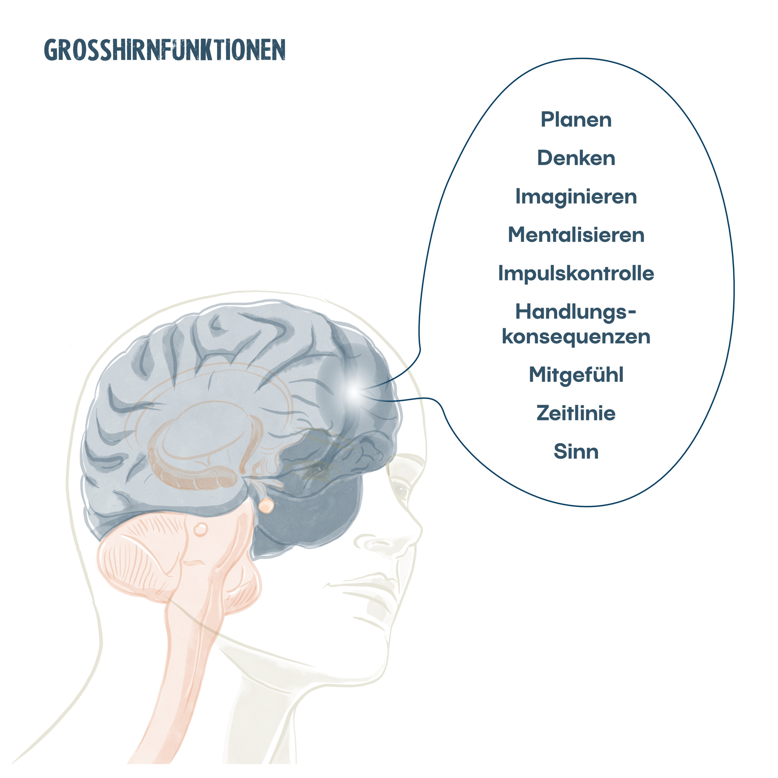Ullu NeuroDeeskalation Großhirnfunktionen