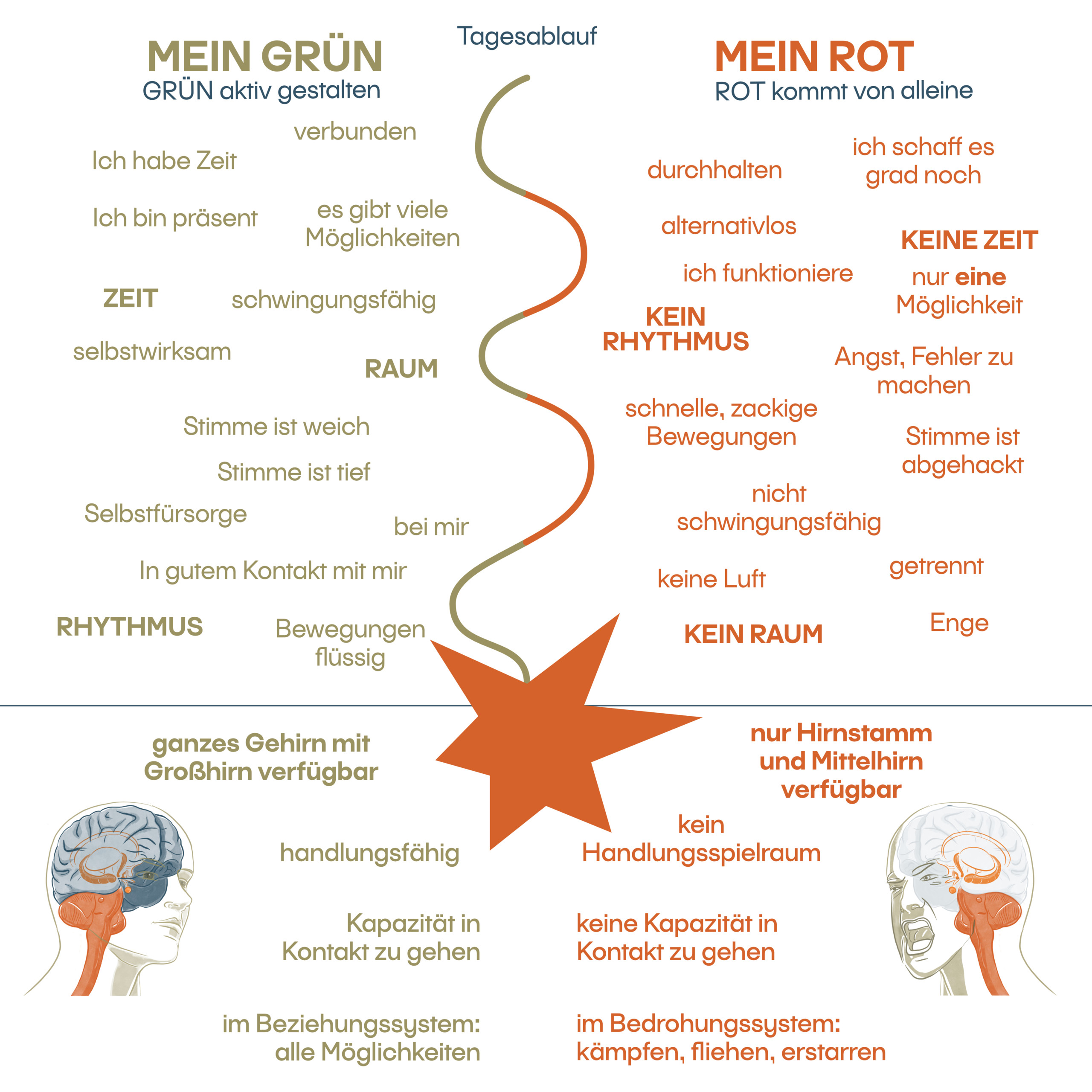 Grün - Rot NeuroDeeskalation